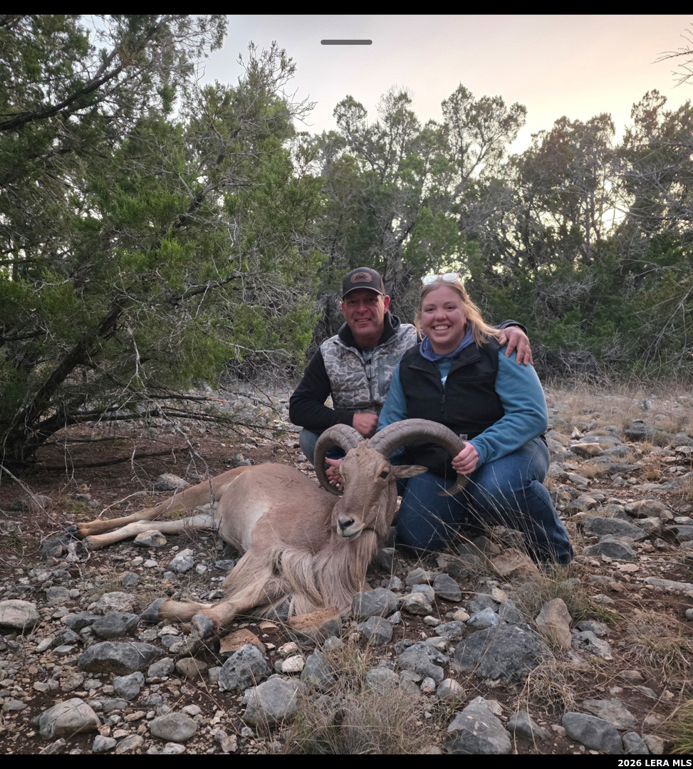 15019 County Road 310 Rocksprings, TX 78880 - Photo 88 of 90