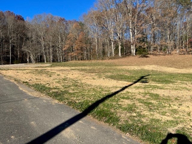 4219 Mendota Road Mendota, VA 24270 - Photo 15 of 16 Gallery Image 15