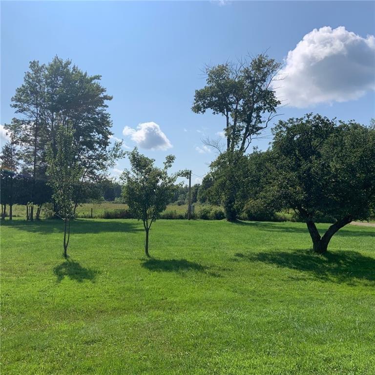 2201 Joiner Road Springboro, PA 16435 - Photo 14 of 25 a view of a park