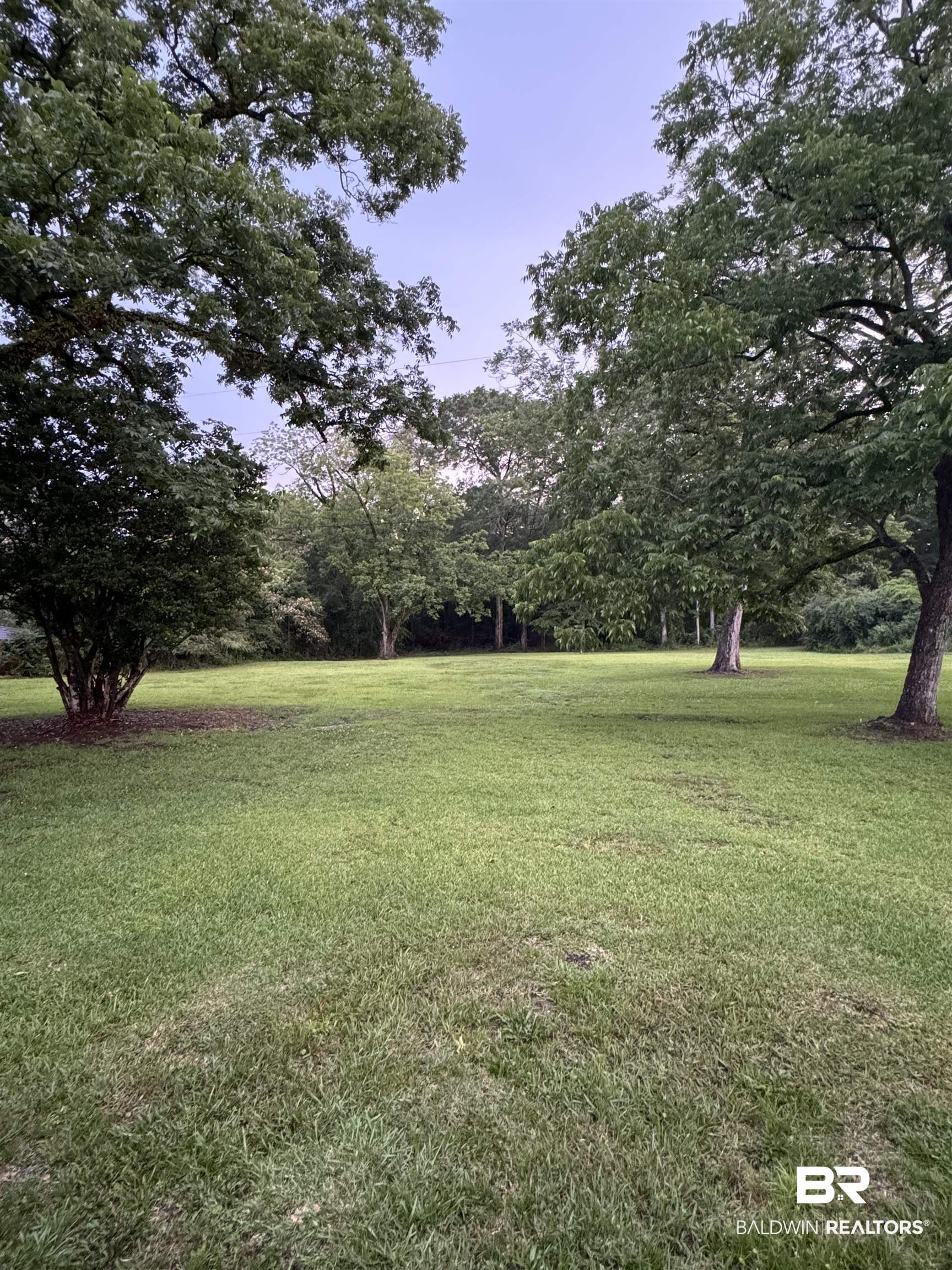 334 Martin Street Repton, AL 36475 - Photo 48 of 51 View of yard