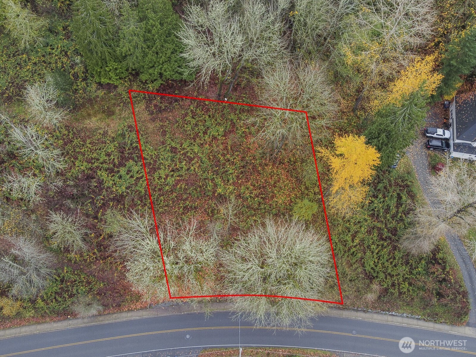 2509 Callow Road Lake Stevens, WA 98258 - Photo 2 of 10 a view of a yard front of house