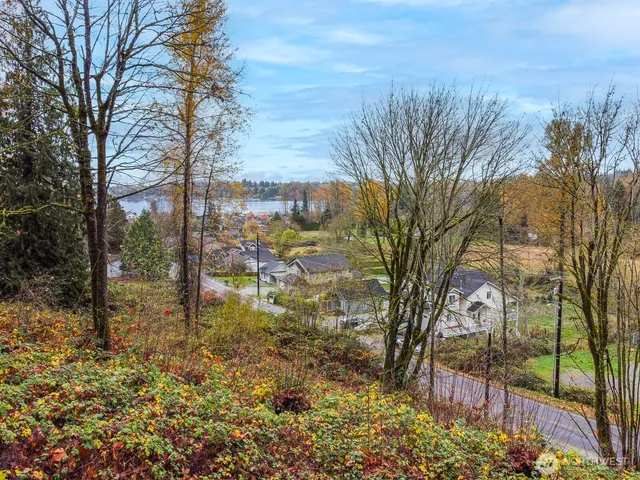 a view of a yard with large trees