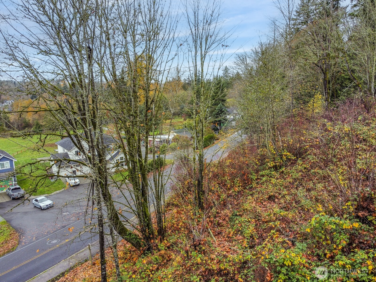 2509 Callow Road Lake Stevens, WA 98258 - Photo 8 of 10 a view of a yard with plants and large trees
