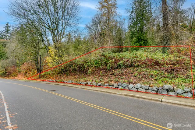 a view of a garden from a window