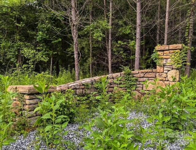 a view of a yard with plants and large trees