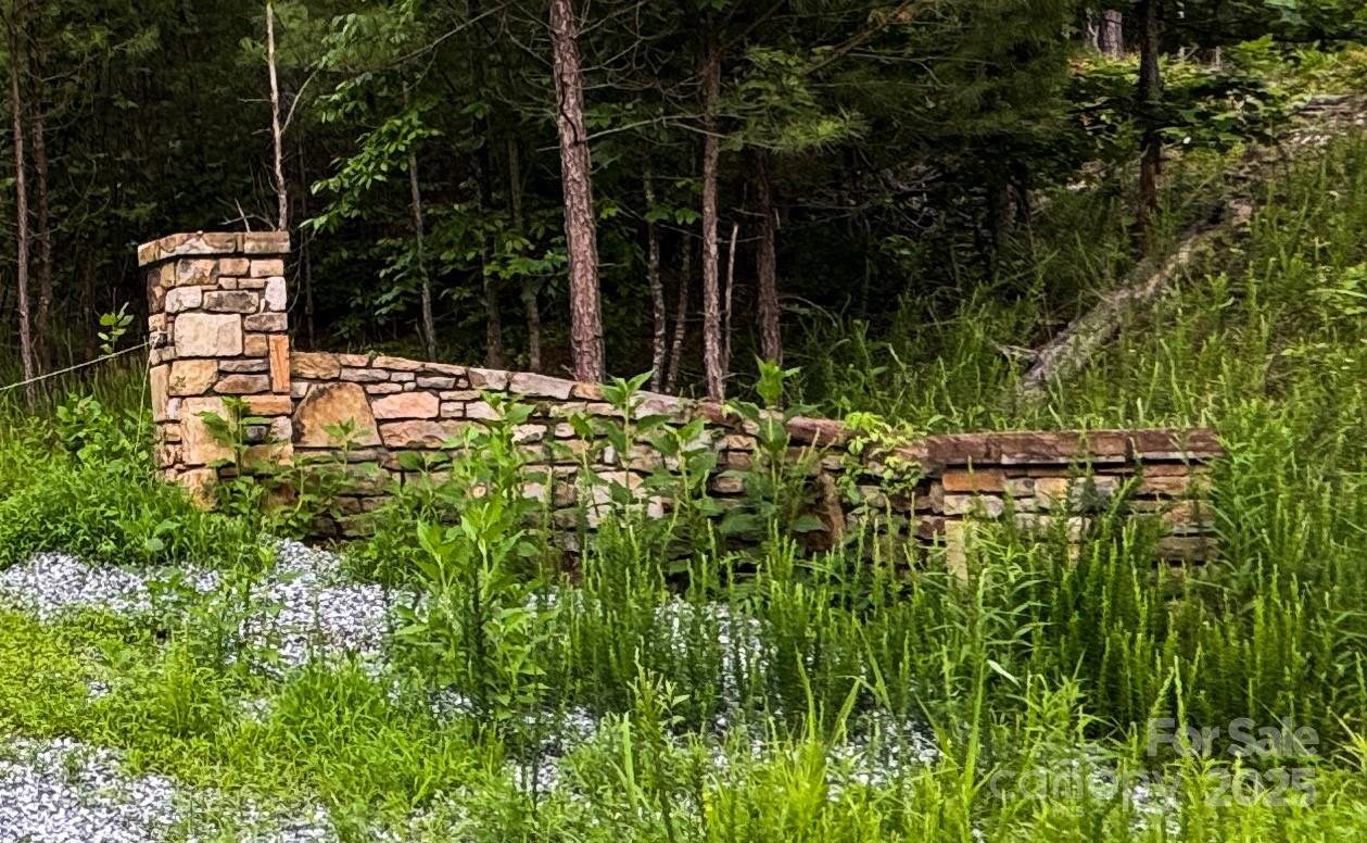 0 Thompson Lake Road Rutherfordton, NC 28139 - Photo 2 of 2 a backyard of a house with lots of green space and fountain