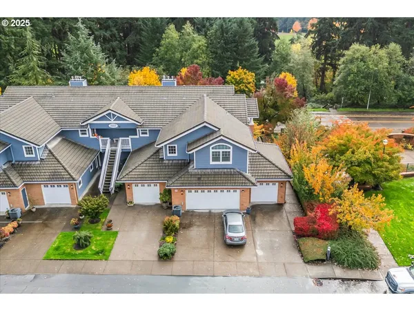 an aerial view of a house with a yard potted plants