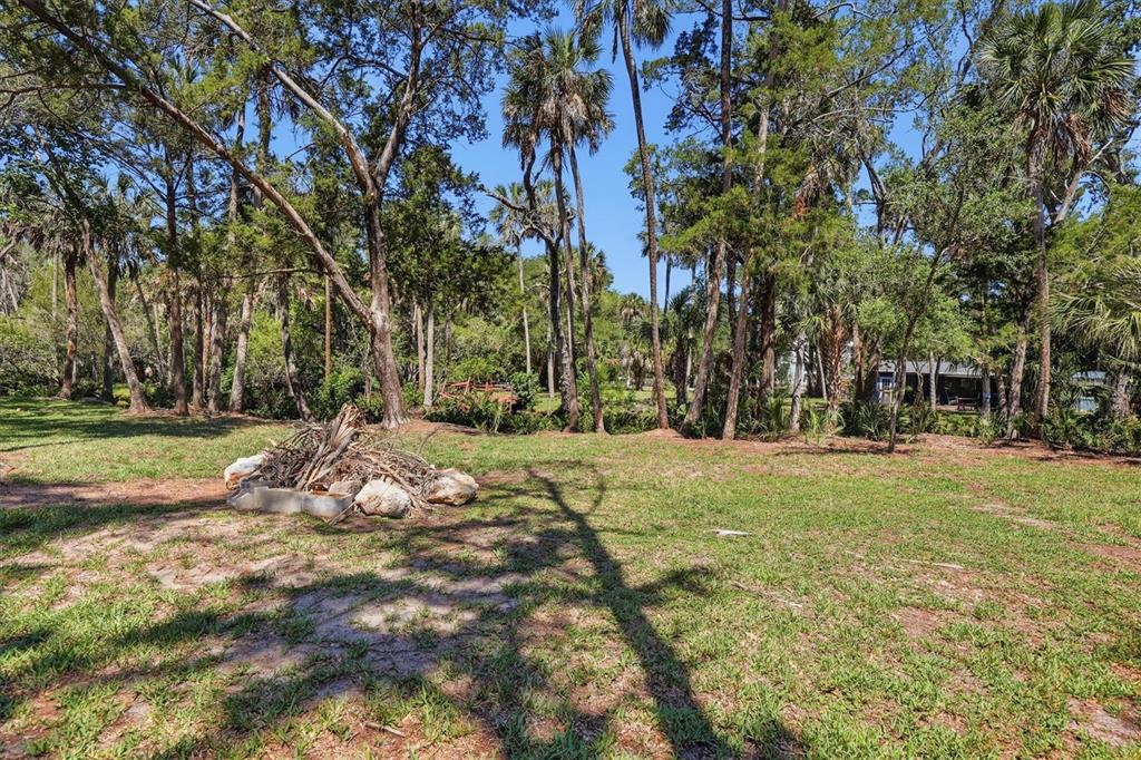 6248 Colony Circle Weeki Wachee, FL 34607 - Photo 6 of 20 a view of a tree in front of a house