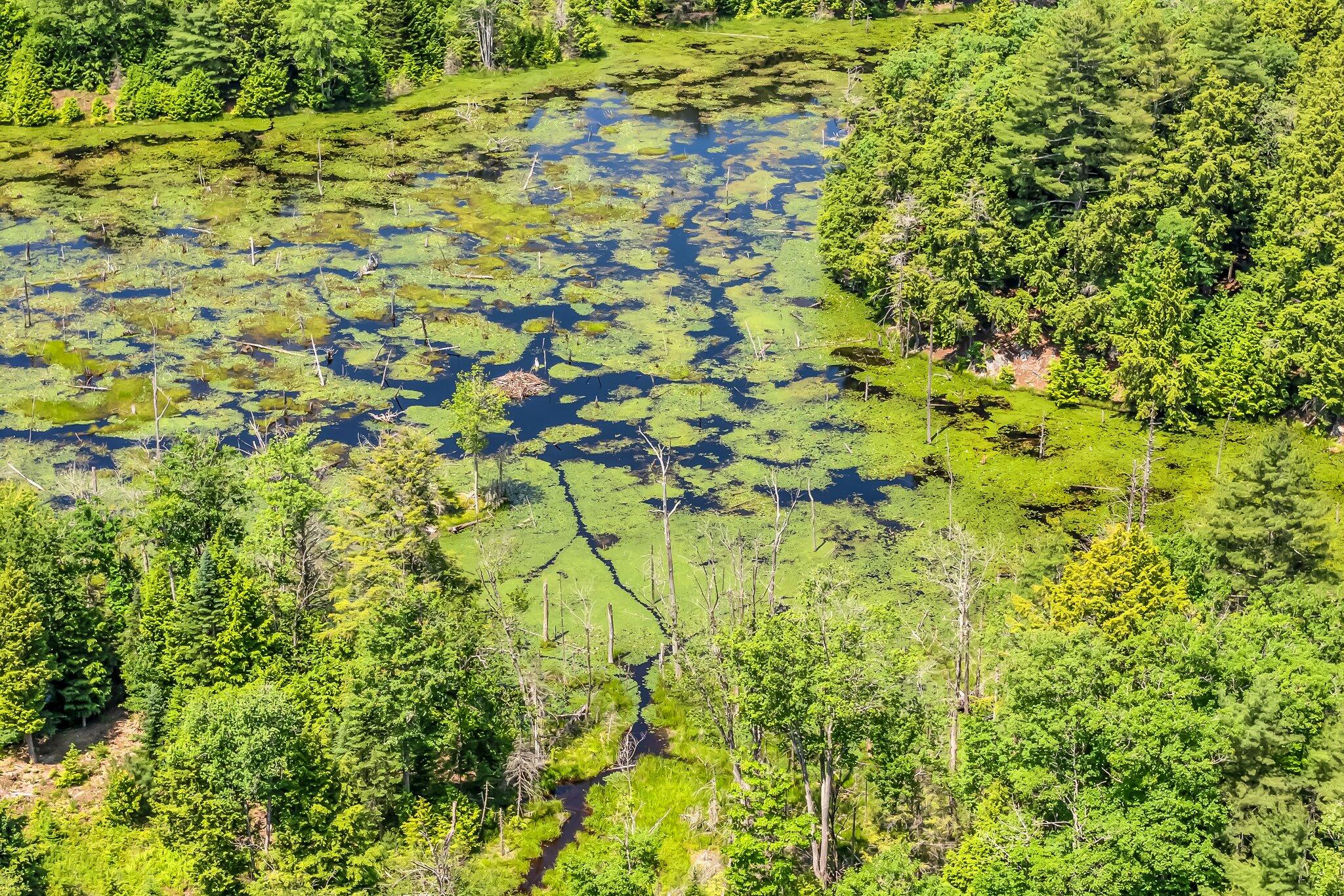 221 Gates Road Jefferson, ME 04348 - Photo 62 of 67 63-web-or-mls-221-gates-rd