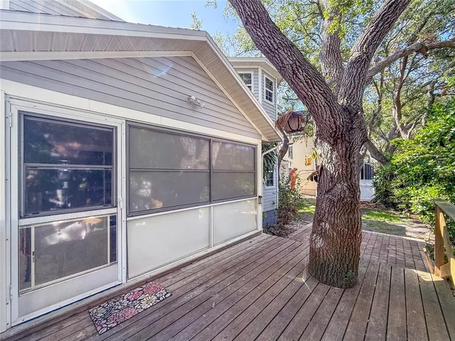 a view of a yard with plants and trees