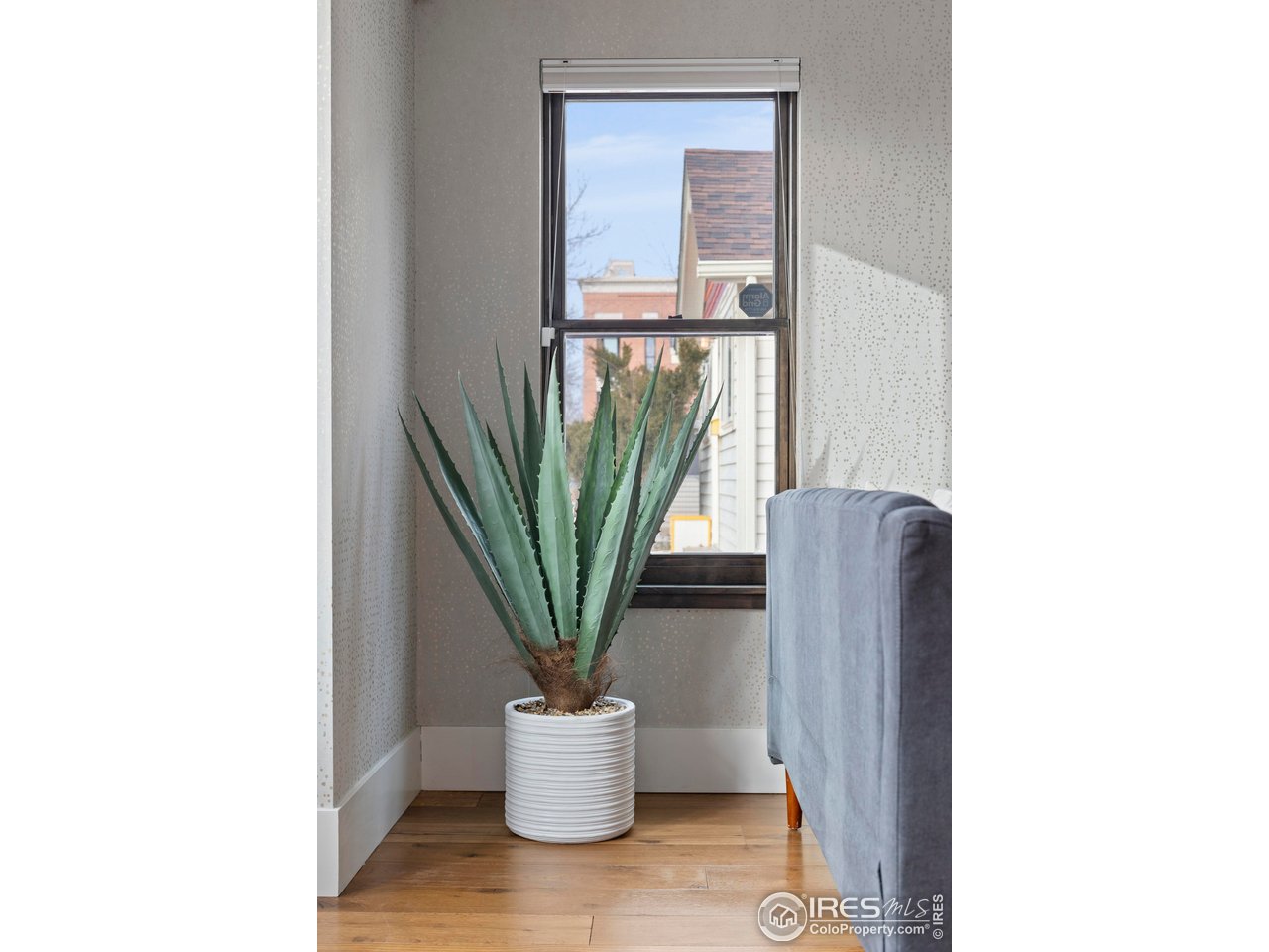 302 North Meldrum Street, Unit 103 Fort Collins, CO 80521 - Photo 11 of 46 a view of a living room with a chair and a potted plant