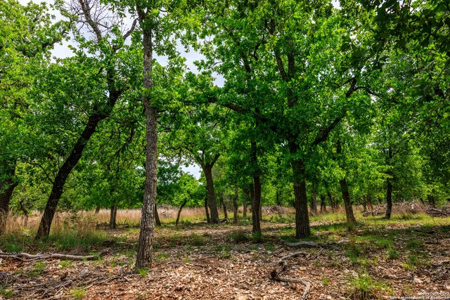 $1,095,000 | 2050 Adj Lane, Fredericksburg, TX 78624