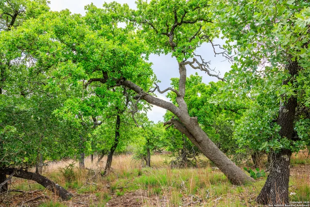 $1,095,000 | 2050 Adj Lane, Fredericksburg, TX 78624