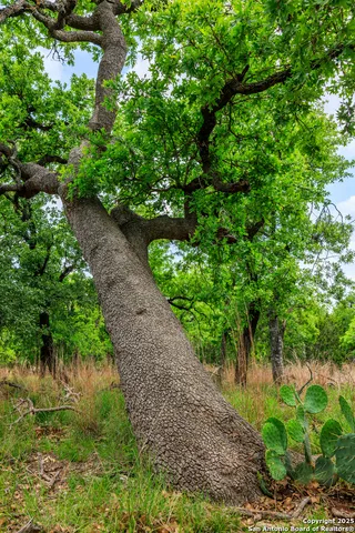 $1,095,000 | 2050 Adj Lane, Fredericksburg, TX 78624