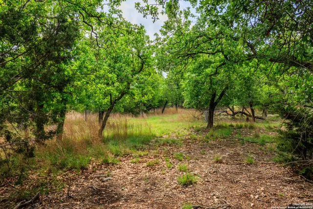 $1,095,000 | 2050 Adj Lane, Fredericksburg, TX 78624