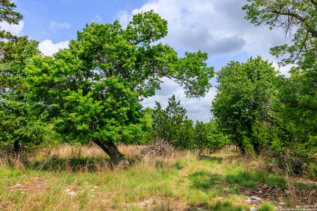 $1,095,000 | 2050 Adj Lane, Fredericksburg, TX 78624