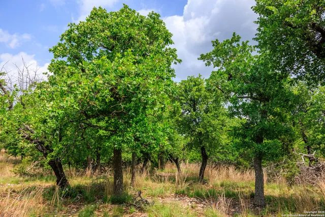 $1,095,000 | 2050 Adj Lane, Fredericksburg, TX 78624