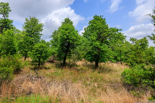 $1,095,000 | 2050 Adj Lane, Fredericksburg, TX 78624