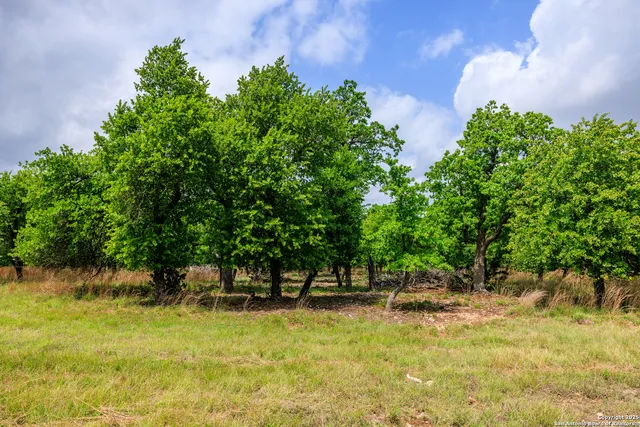 $1,095,000 | 2050 Adj Lane, Fredericksburg, TX 78624