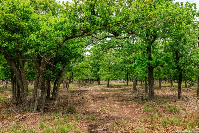 $1,095,000 | 2050 Adj Lane, Fredericksburg, TX 78624