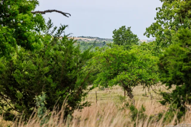 $1,095,000 | 2050 Adj Lane, Fredericksburg, TX 78624