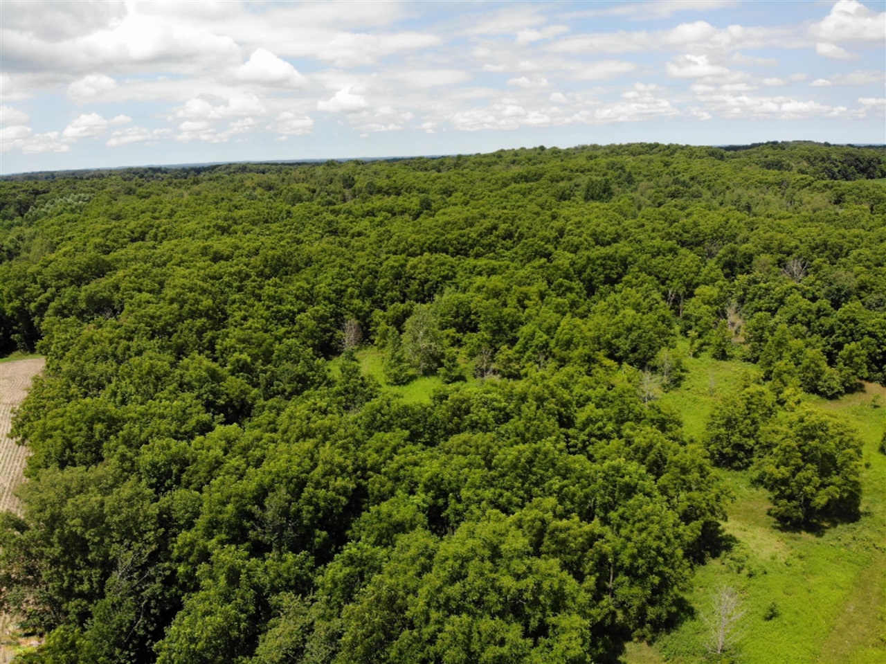 Decatur Road Dowagiac, MI 49047 - Photo 8 of 15