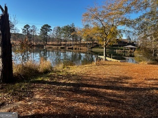 233 Begonia Road Sparta, GA 31087 - Photo 22 of 27 a view of a lake