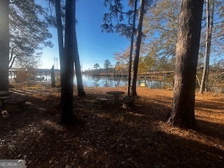 233 Begonia Road Sparta, GA 31087 - Photo 24 of 27 a view of a yard in a yard