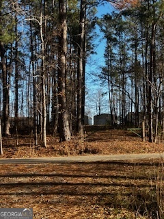 233 Begonia Road Sparta, GA 31087 - Photo 26 of 27 a view of a house with a yard