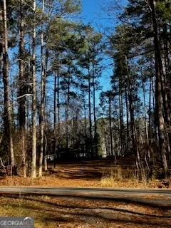 $135,000 | 233 Begonia Road, Sparta, GA 31087