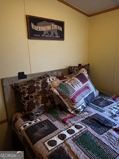 233 Begonia Road Sparta, GA 31087 - Photo 8 of 27 a bed sitting in a bedroom next to a window