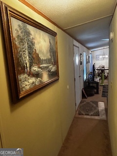 233 Begonia Road Sparta, GA 31087 - Photo 10 of 27 a view of a living room with a large window