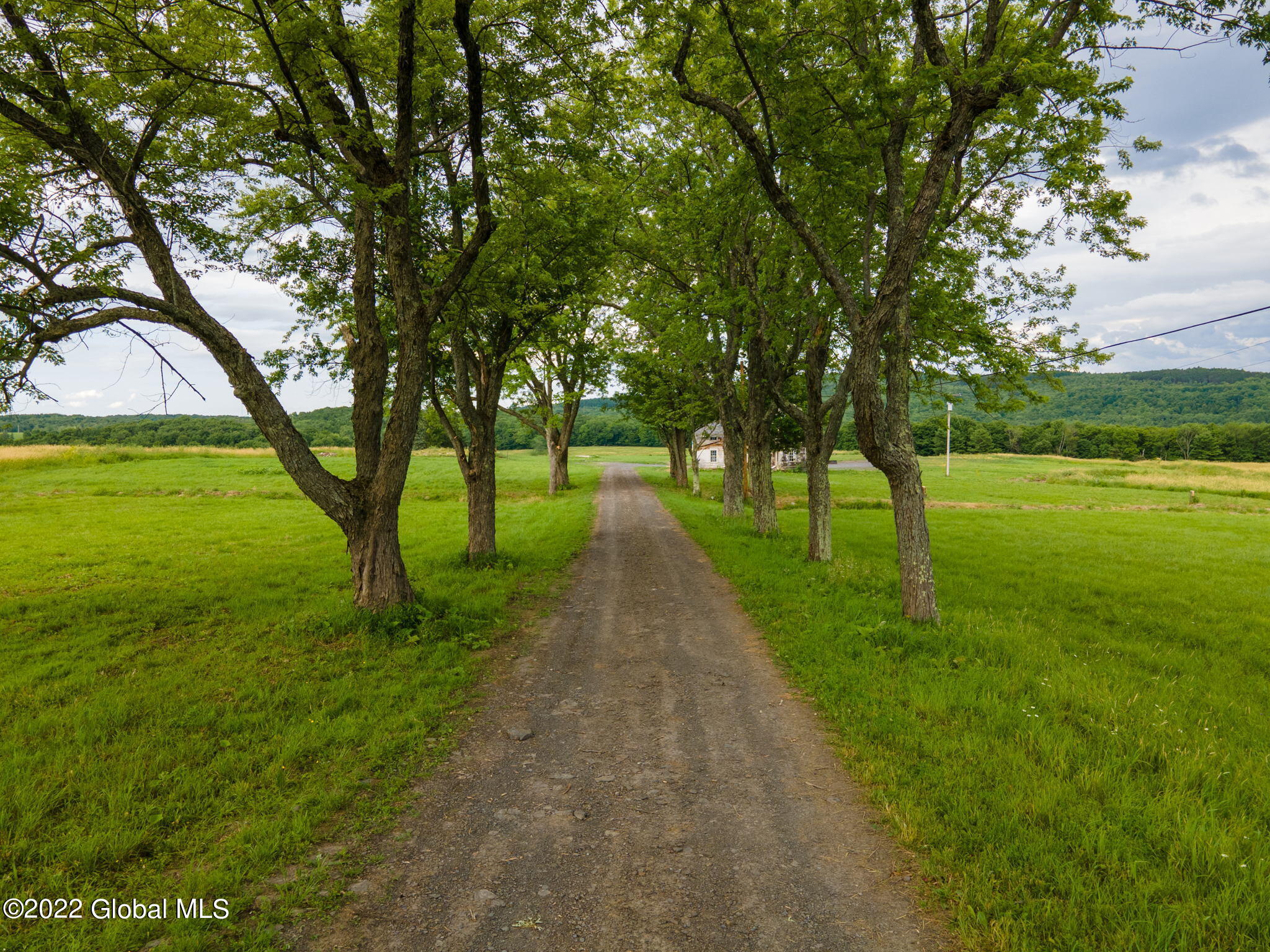 416 Karker Road Warnerville, NY 12187 - Photo 4 of 27 4-web-or-mls-421KarkerRd-4