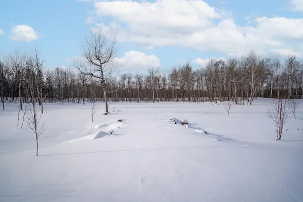 $399,000 | 42-xa Stebner Road, Hermantown, MN 55811