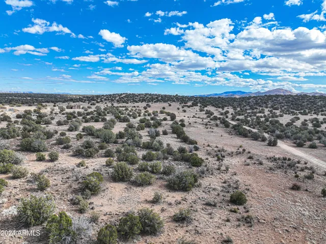 a view of a dry yard with wooden fence