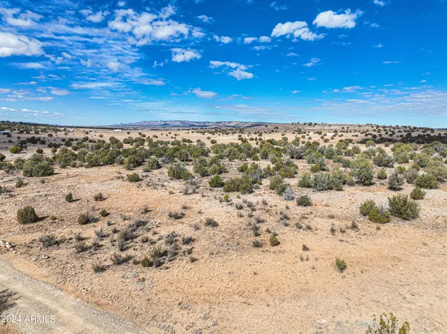 a view of a dry yard with wooden fence