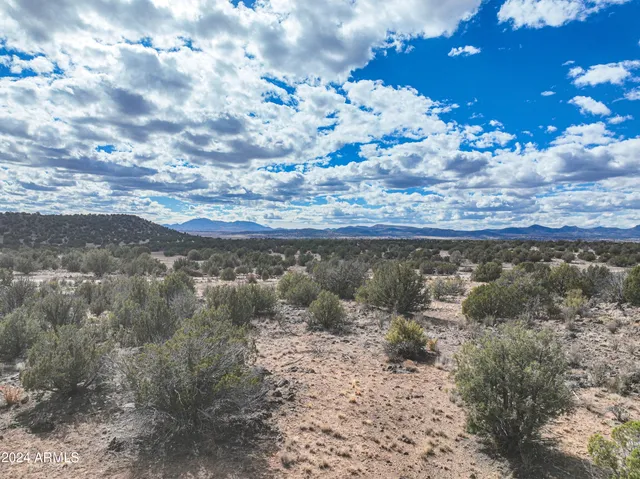 a view of a lake with a mountain in the background