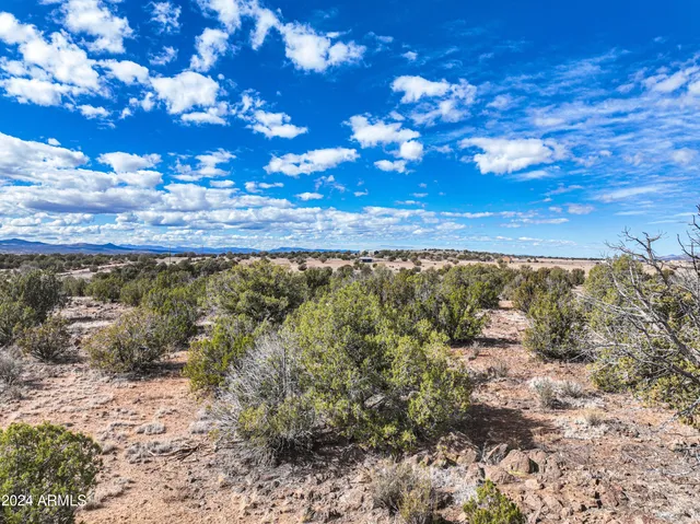a view of mountain view with lots of trees