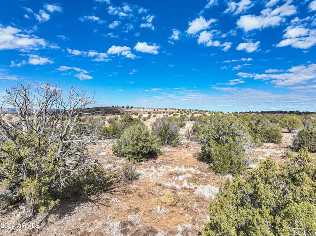 a view of a yard with wooden fence