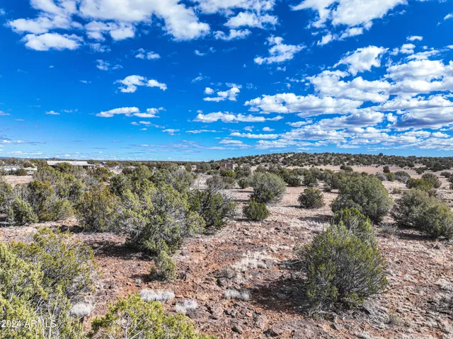 a view of a yard with lots of trees
