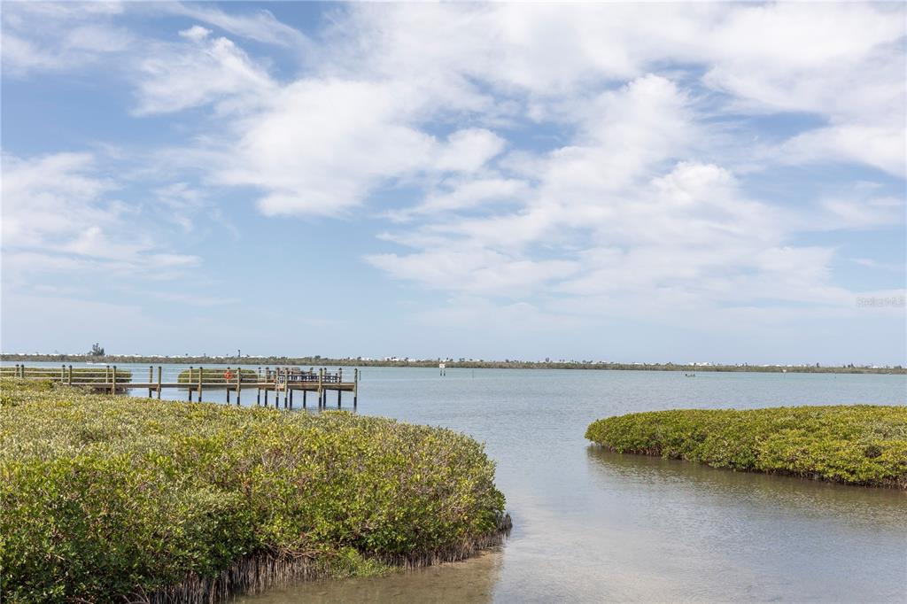9203 Griggs Road, Unit D302 Englewood, FL 34224 - Photo 68 of 73 a view of a lake with houses in the back