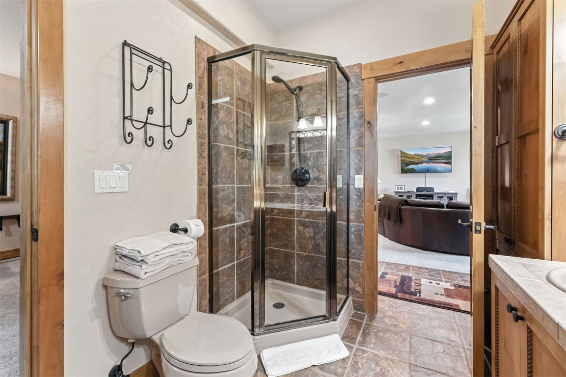 1730 Red Hawk Road Silverthorne, CO 80498 - Photo 10 of 50 a bathroom with a toilet and a shower