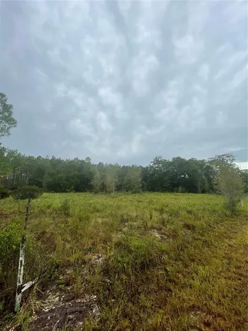 a view of an ocean from a yard