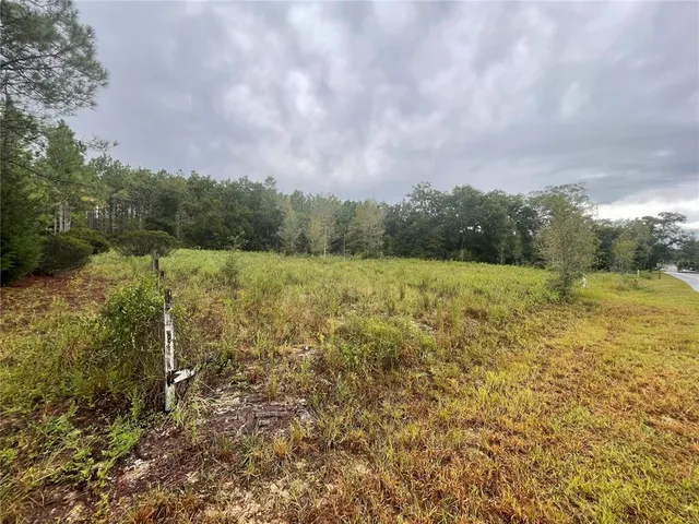 a view of a field with an trees around