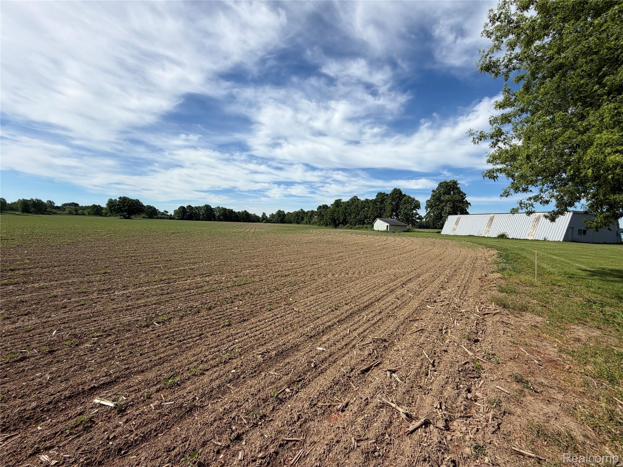 8886 East Burnside Road Brown City, MI 48416 - Photo 6 of 22 Expansive cleared land featuring cultivated rows, a distant white outbuilding, a large metal-sided structure, and mature perimeter trees