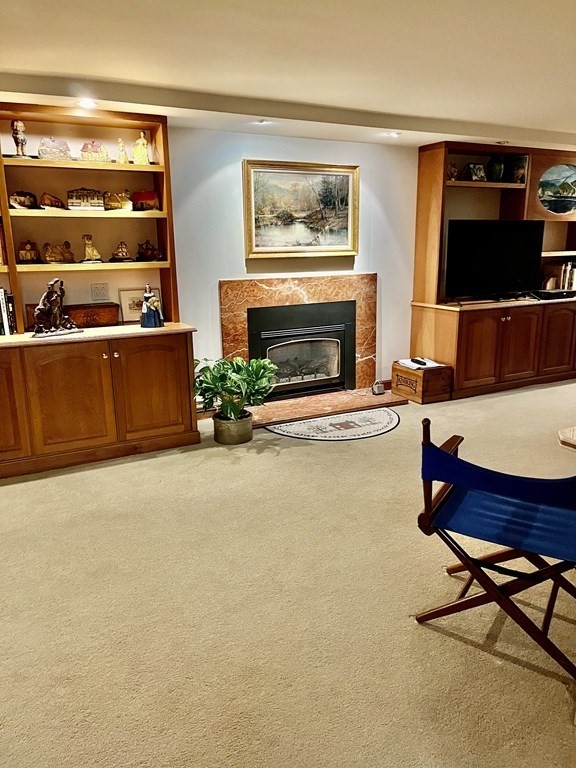 9 Aylesbury Road Worcester, MA 01609 - Photo 36 of 40 a living room with furniture a flat screen tv and a fireplace