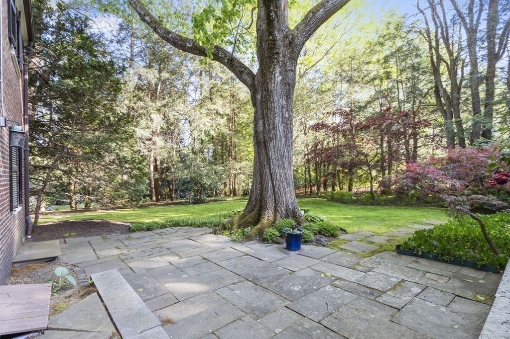 9 Aylesbury Road Worcester, MA 01609 - Photo 38 of 40 a view of a backyard with plants and large trees