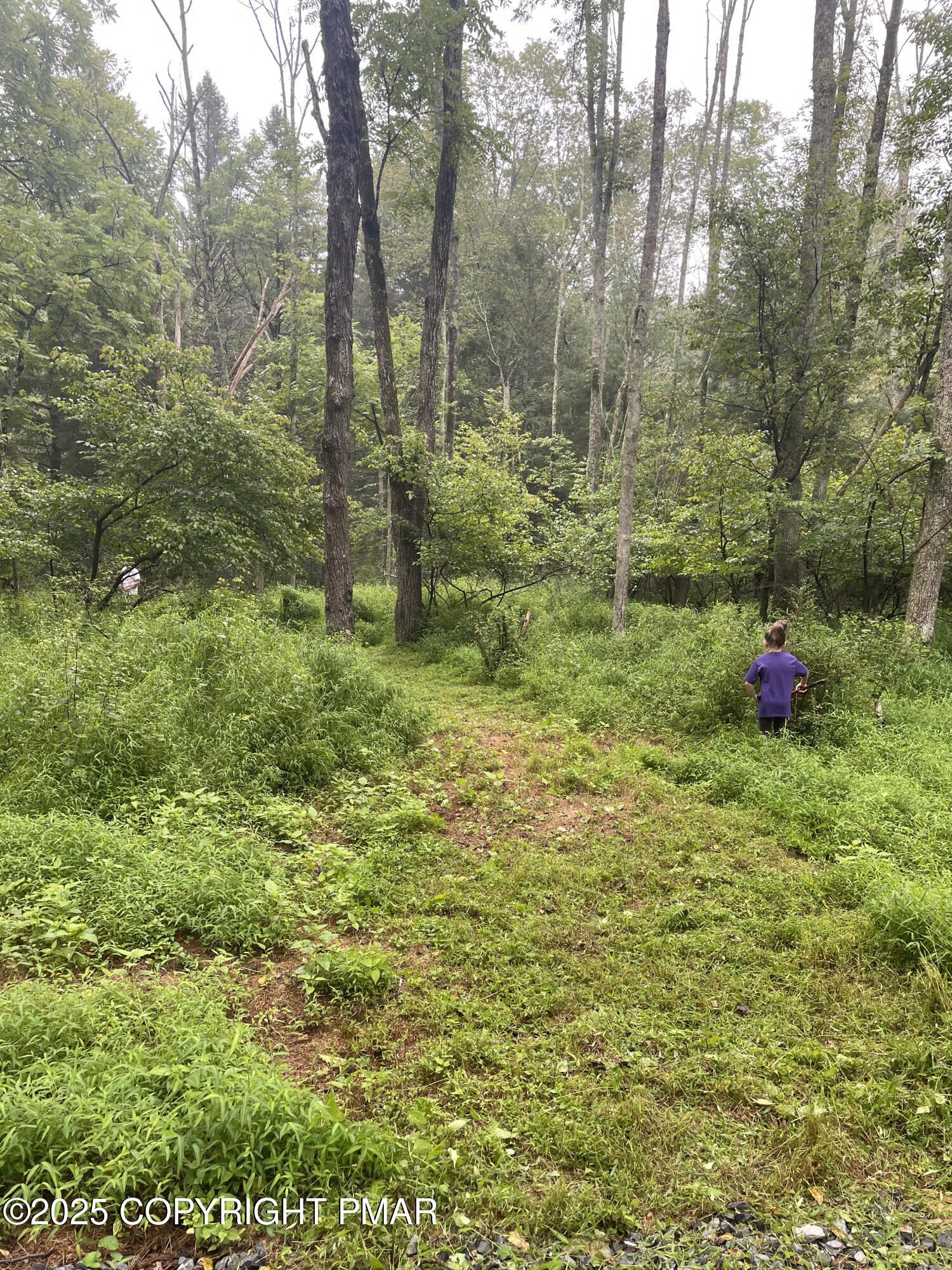 Lot T Lot T Road Kunkletown, PA 18058 - Photo 7 of 17 a view of outdoor space and yard