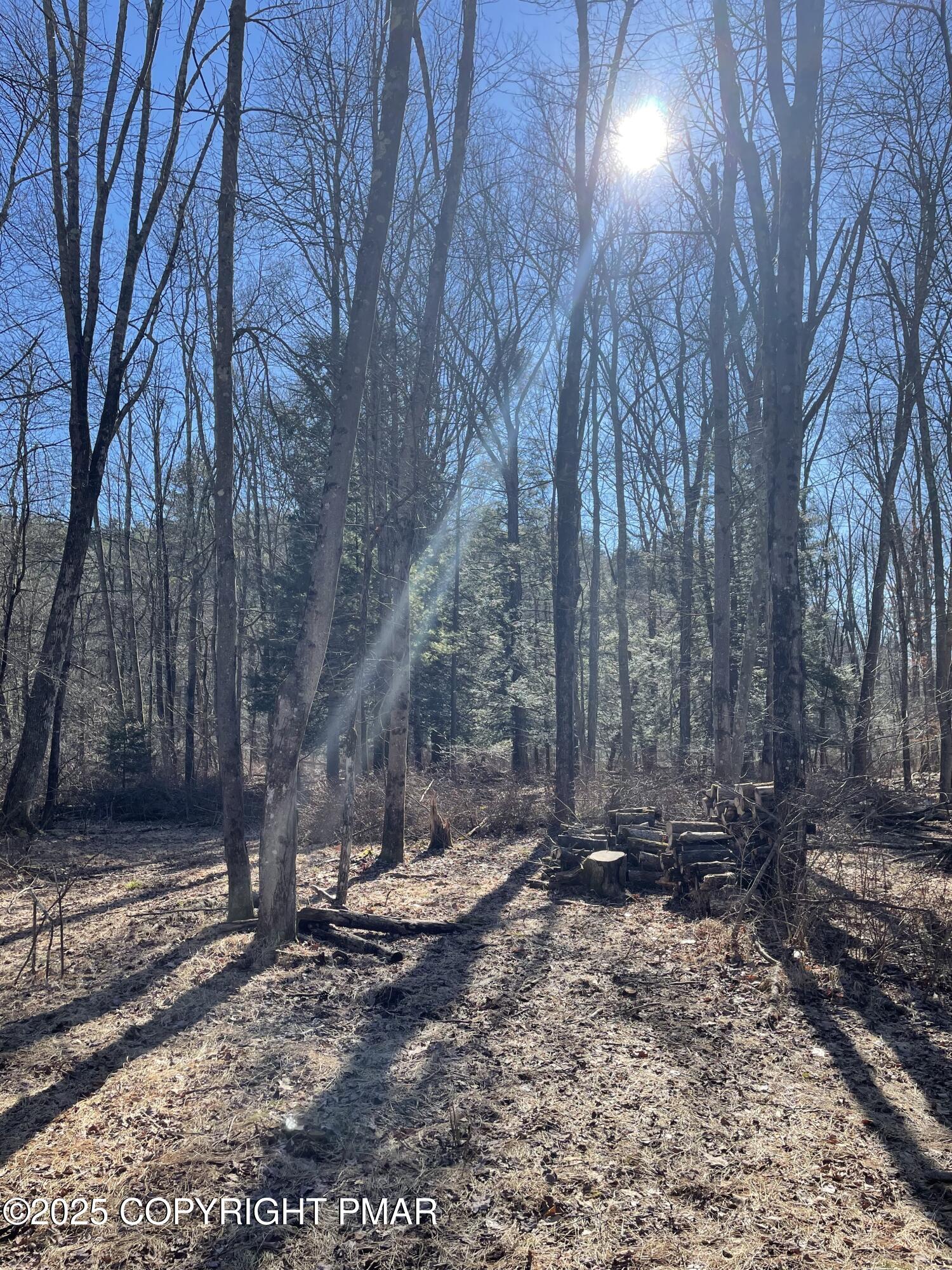 Lot T Lot T Road Kunkletown, PA 18058 - Photo 8 of 17 a view of a backyard with trees