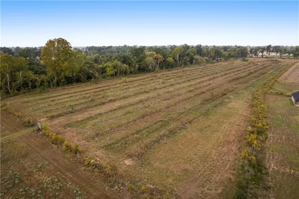 $520,000 | 1320 Anna Lane, Alexandria, LA 71303